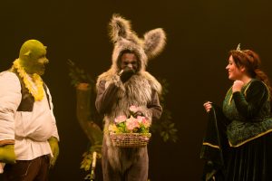 shrek, burro e fiona