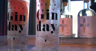 drinks com gin preparados para o Gin Day