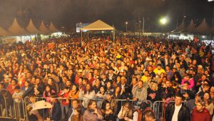 público acompanha o show de Teodoro & Sampaio em comemoração à 42ª Romaria de Vargem Grande Paulista