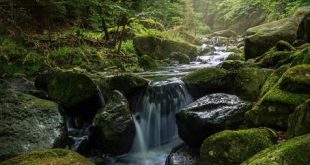 uma cachoeira caindo em meio a pedras cheias de limo