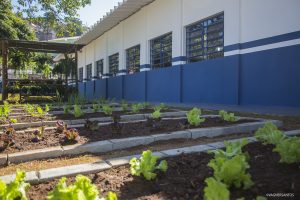 horta da unidade Caucaia do Alto do Fundo Social de Solidariedade de Cotia