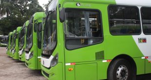 ônibus de Embu das Artes estacionados lado a lado em um pátio