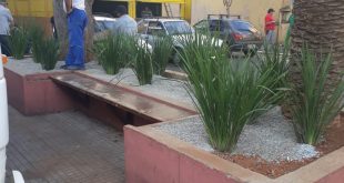 detalhes de praça recém-reformada no centro de são roque