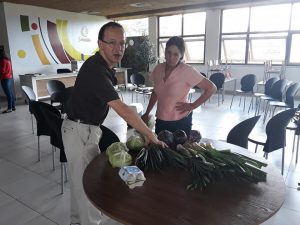 produtores mostrando itens orgânicos