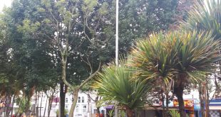 postes no largo dos mendes