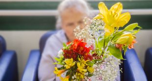 uma vaso de flores em frente a uma idosa no segundo plano, desfocada