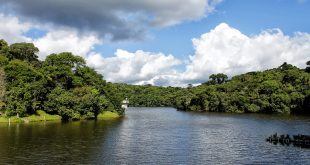 uma barragem em cotia rodeada por verde