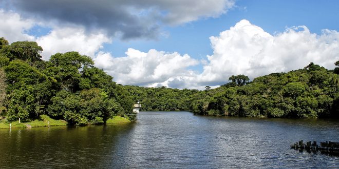 uma barragem em cotia rodeada por verde