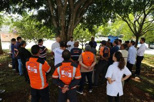 agentes da defesa civil e do IPT conversam em volta de árvore