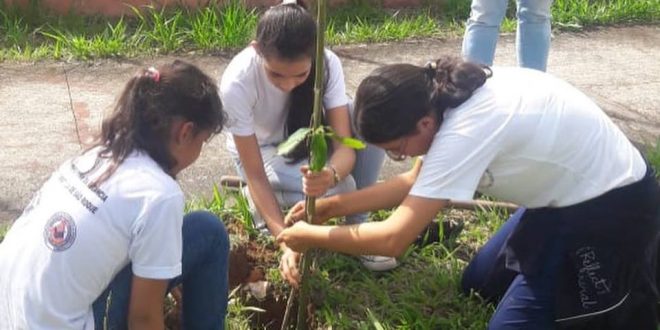 crianças plantando mudas