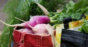 sacolas de compras cheias de produtos orgânicos