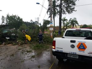 homens trabalhando em remoção de árvore na estrada dos pereiras