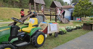 Feira de Empreendedorismo do Sebrae-SP incentiva protagonismo das crianças de Caucaia do Alto, em Cotia