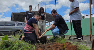 Projeto Pau-Brasil começa por Caucaia do Alto e reforça consciência ambiental