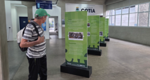 Cotia recebe exposição itinerante do Museu da Inclusão
