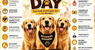 Golden’s Day reúne apaixonados por Golden Retriever no Espaço Weasy, no Shopping Butantã