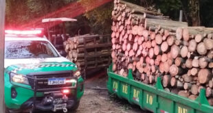 Guarda Ambiental de Cotia prende três por desmatamento no Aguassaí